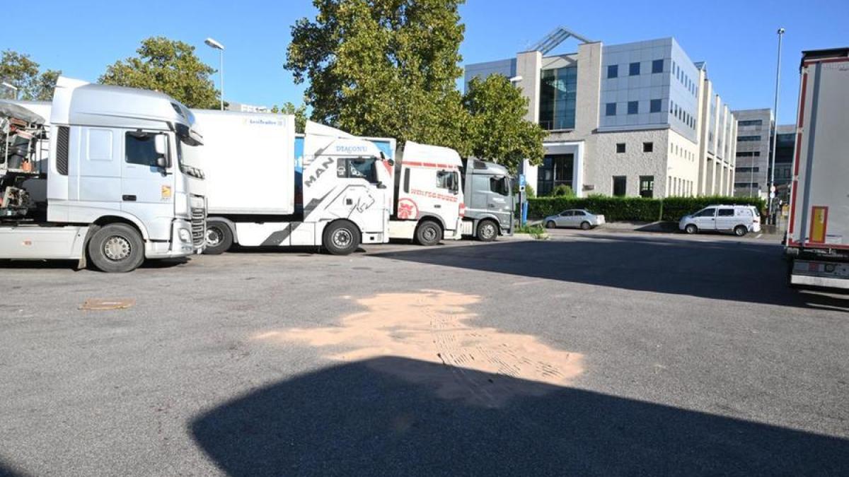 sofer-camion-italia_78948100