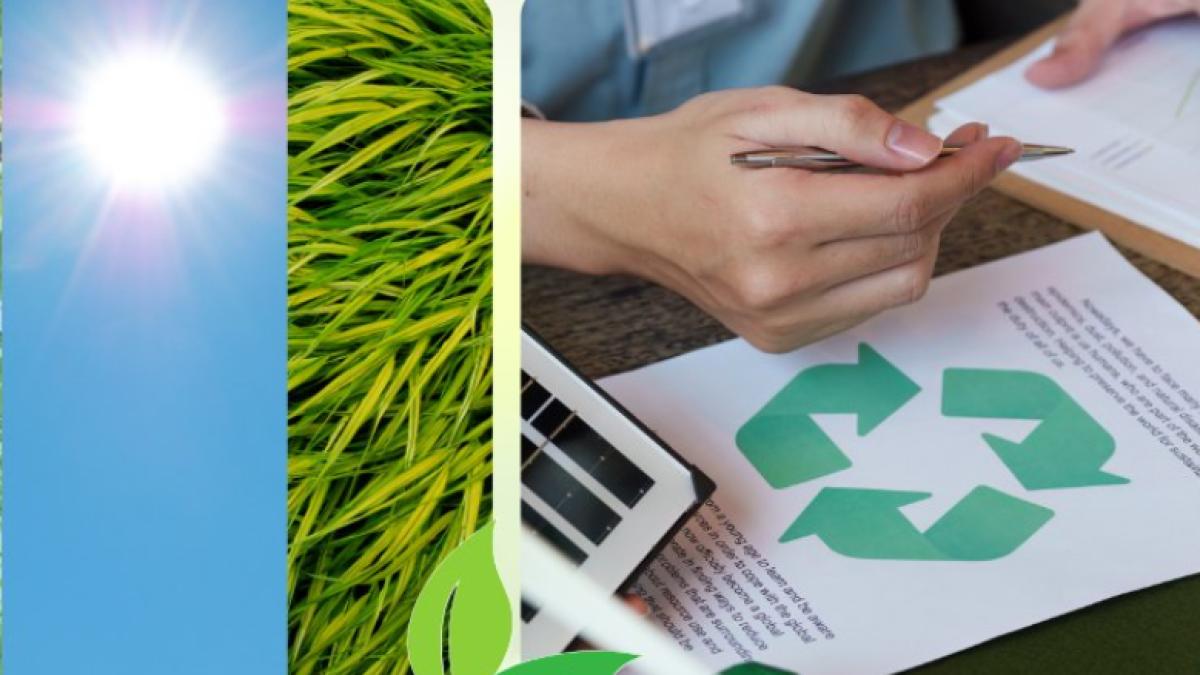 afm-proiecte-pnrr_15674500