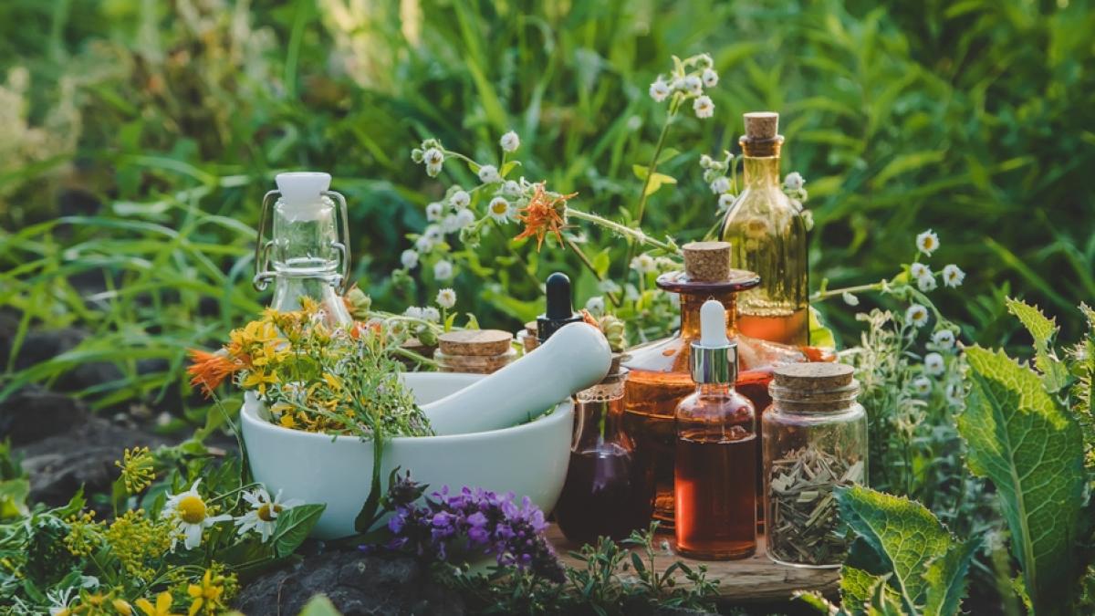 e1b48984a21714b231a62dbb30407e3a03_22536100