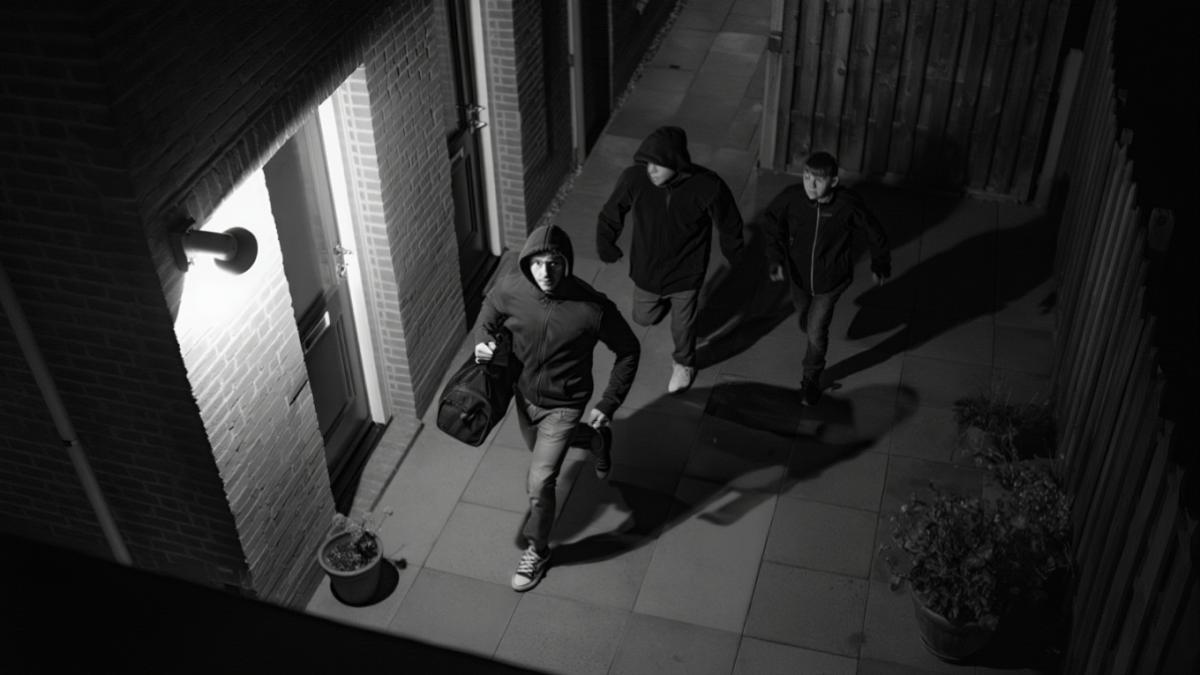 hoti-pe-camerele-de-supraveghere_51904300