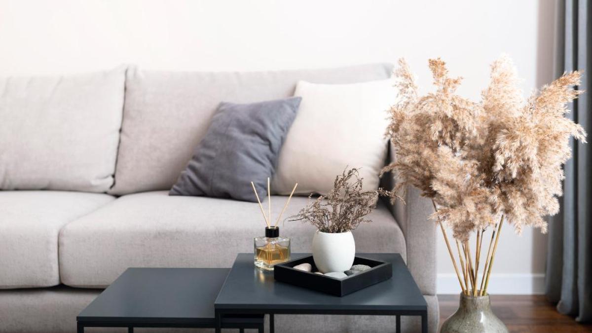 c831m94e5g4i86x_93197500