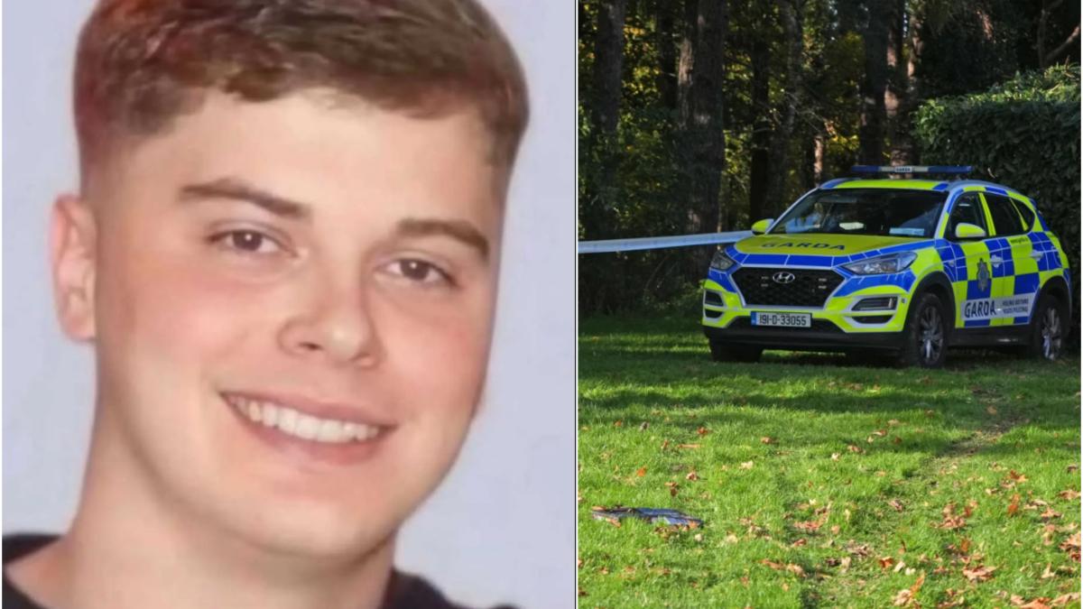 victor-mamaliga-roman-dublin_97115300