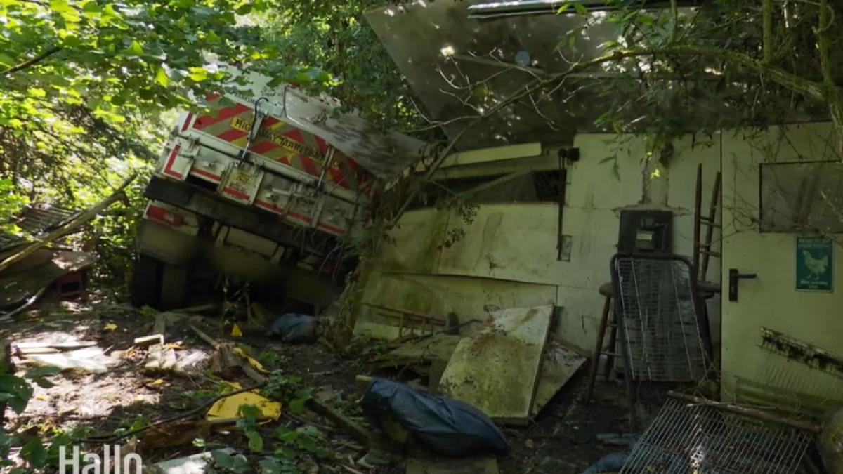 camion-gradina-neamt_70458700