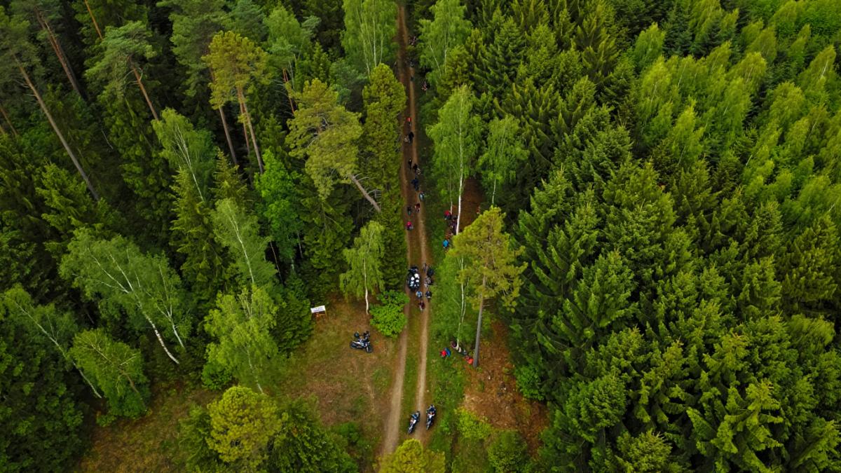 granita-montana-padure-ucraina-romania_77822700