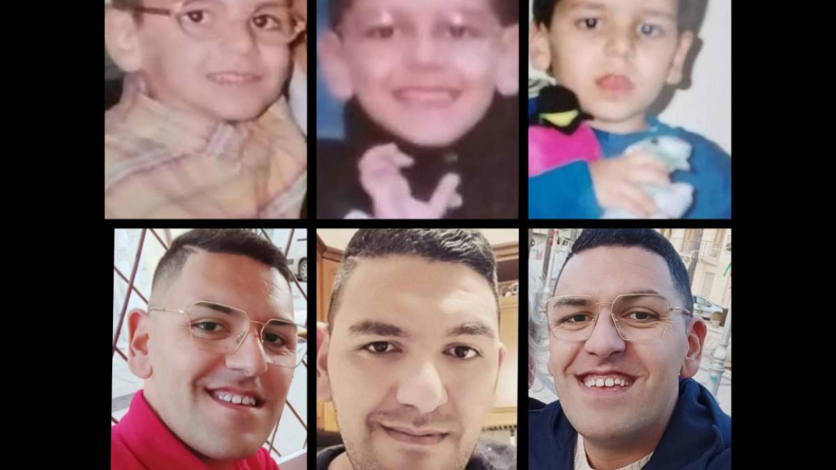 mircea-roman-adoptat-in-italia_42714800