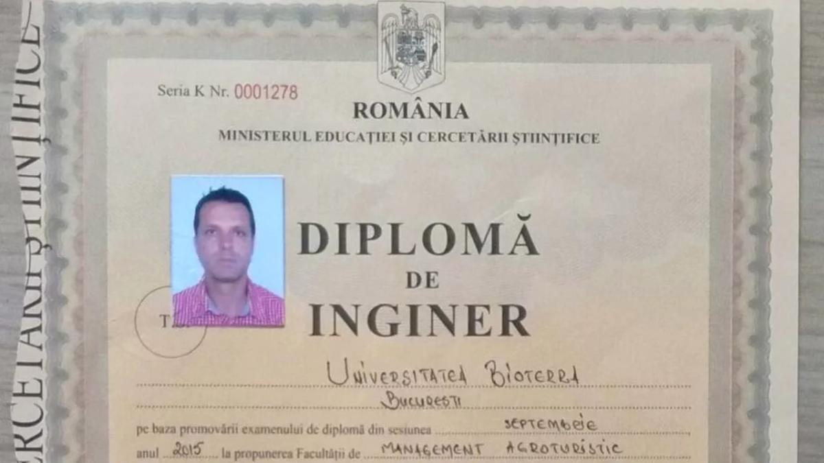 diploma-mosteanu_82652300
