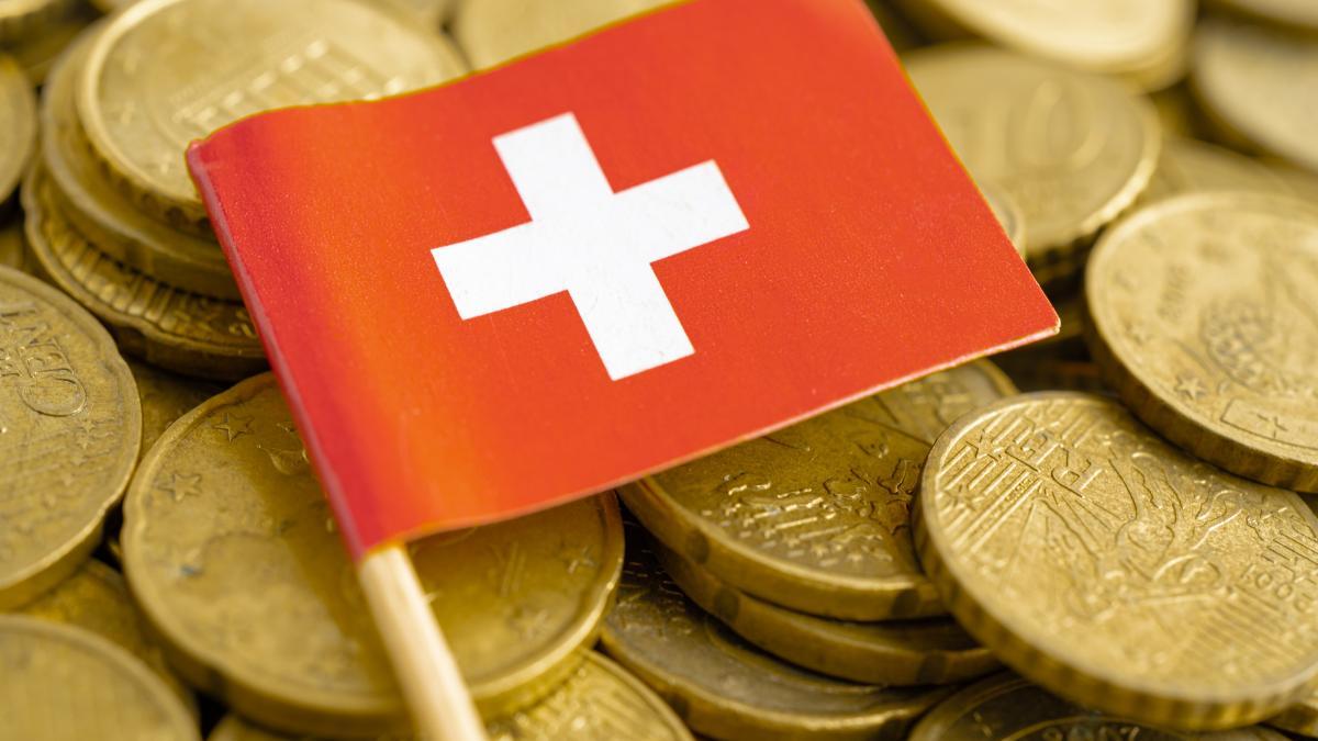 franci-elvetieni-freepik_93105000