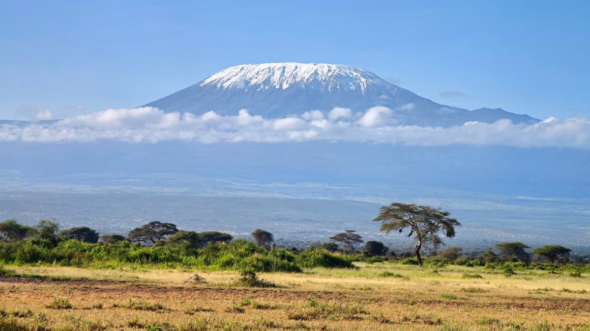 romanca-kilimanjaro_74117000