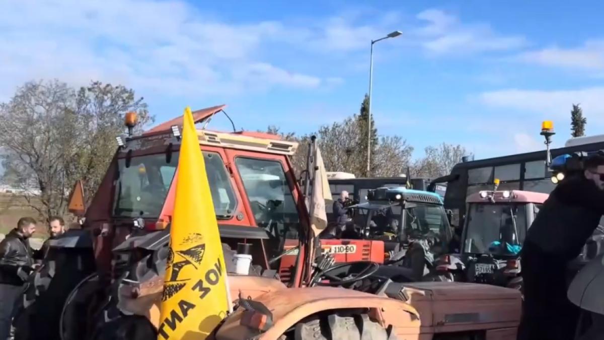 fermieri-greci_07466600