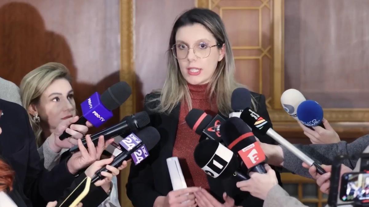 diana-buzoianu-lucrari-paltinu_36821300