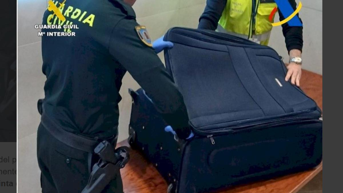 valiza-roman-valencia_53723200