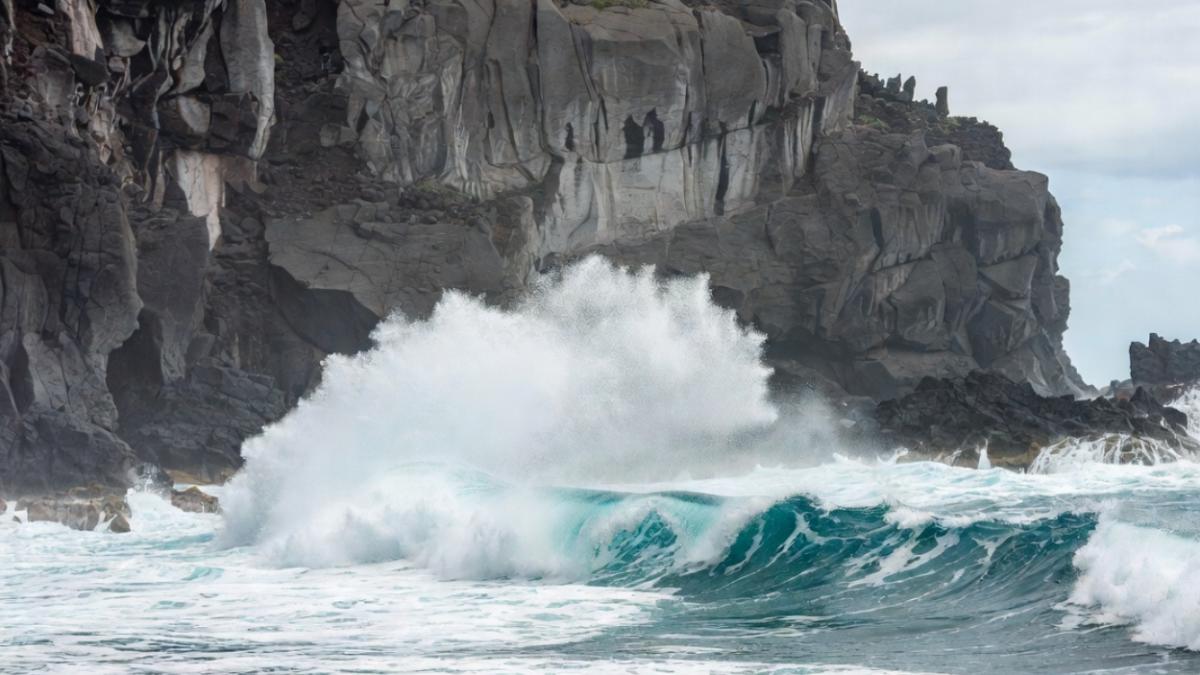 romani-morti-tenerife_06974500