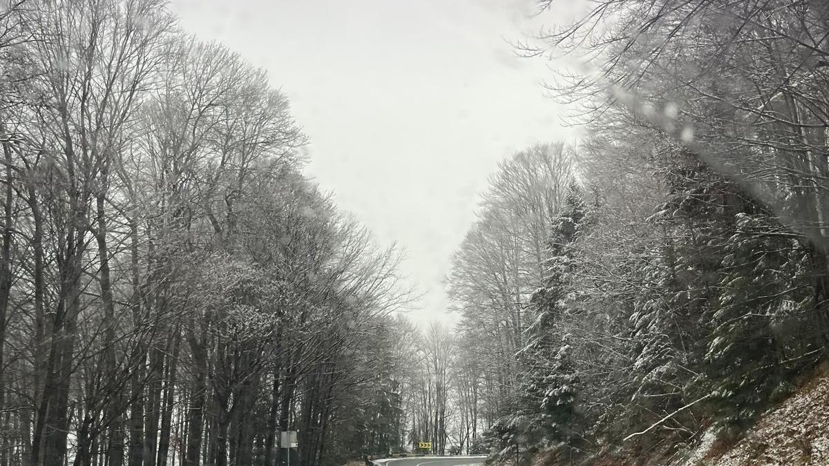 vremea-de-sarbatori--iarna---alexandra-c-_46479800