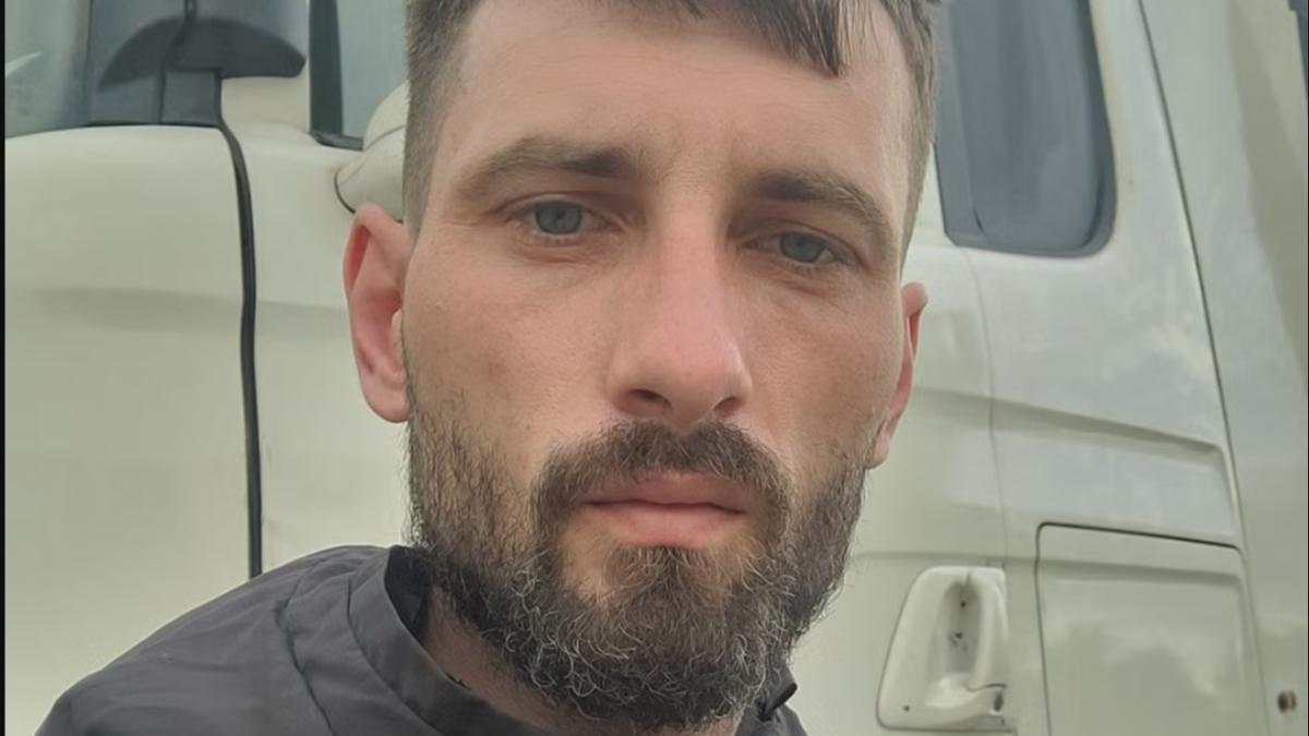 ioan-pintaru-roman-londra_99548000