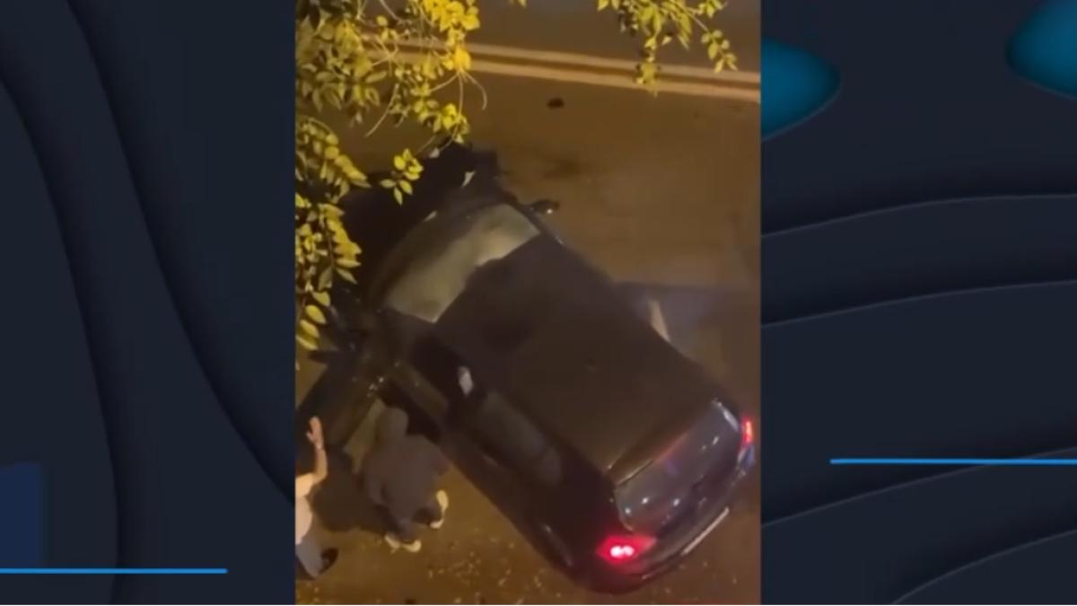 sofer-palma-de-mallorca_97666500