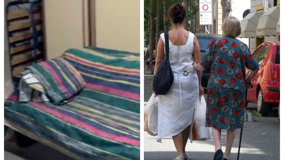 badanta-conditii-jalnice_74802300