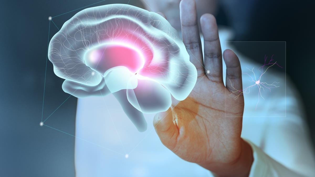 11-creier-freepik_53211400