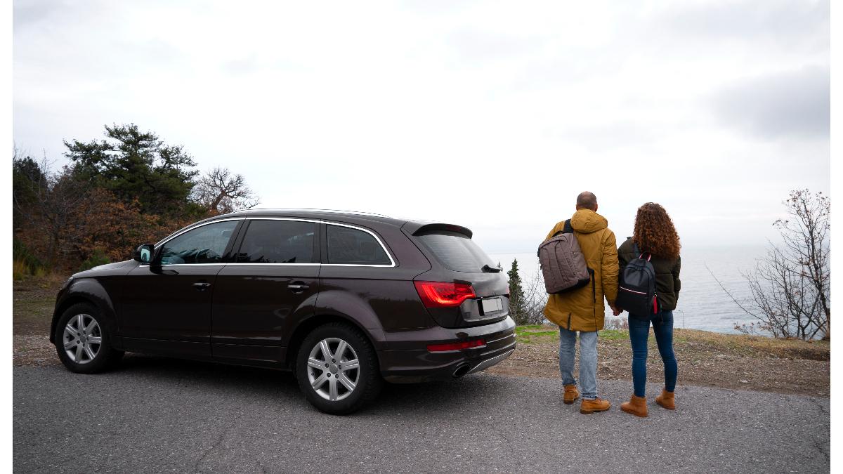 masina-oprita-1_25756100