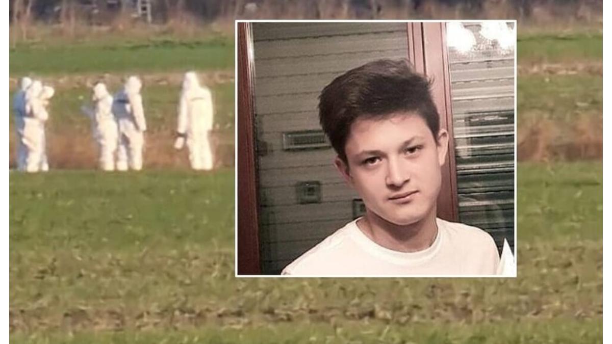 sergiu-tarna-italia_87453200