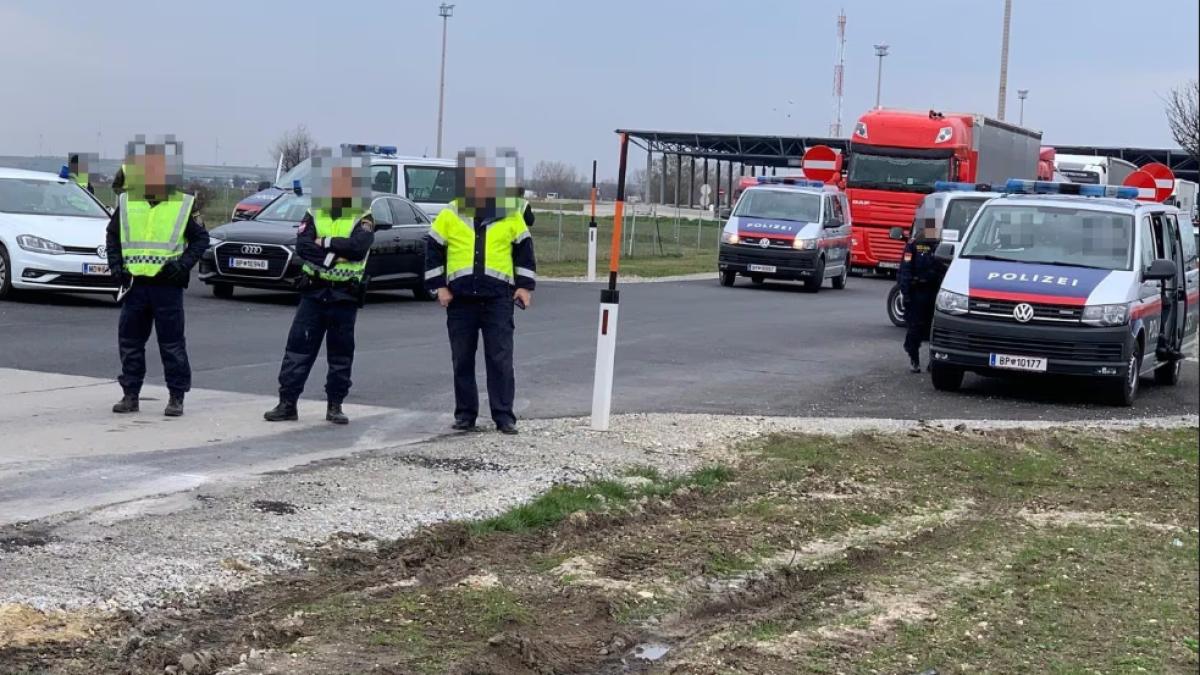 romanca-bebelus-austria_72593100