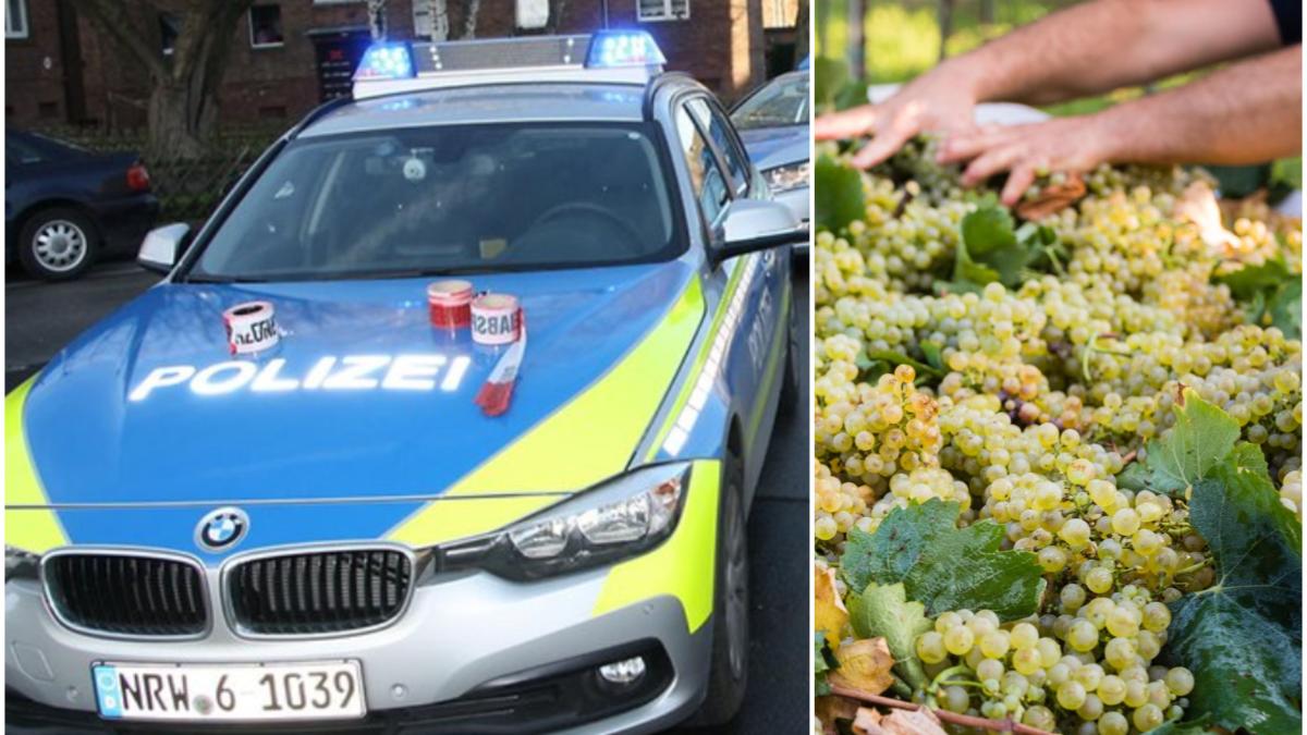 roman-mort-ferma-germania_86354900