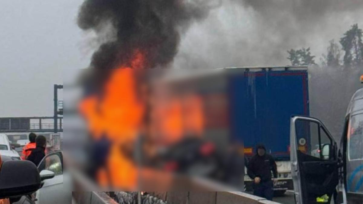 sofer accident Germania filmare