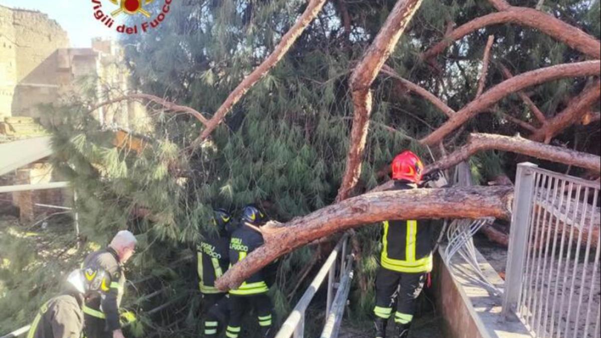 copac prabusit roma peste un roman