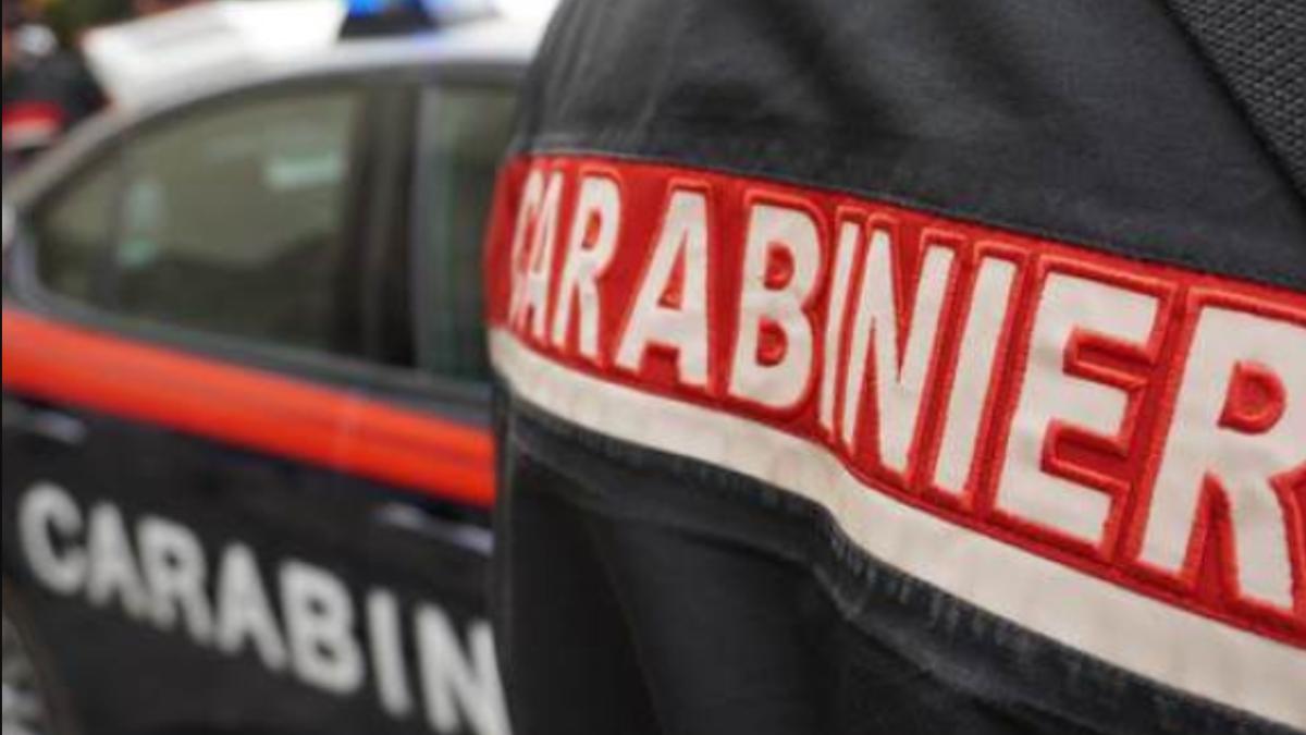 carabinieri-italia-carabinieri-ilustrativ-politie-italia-politisti-italia_43425200