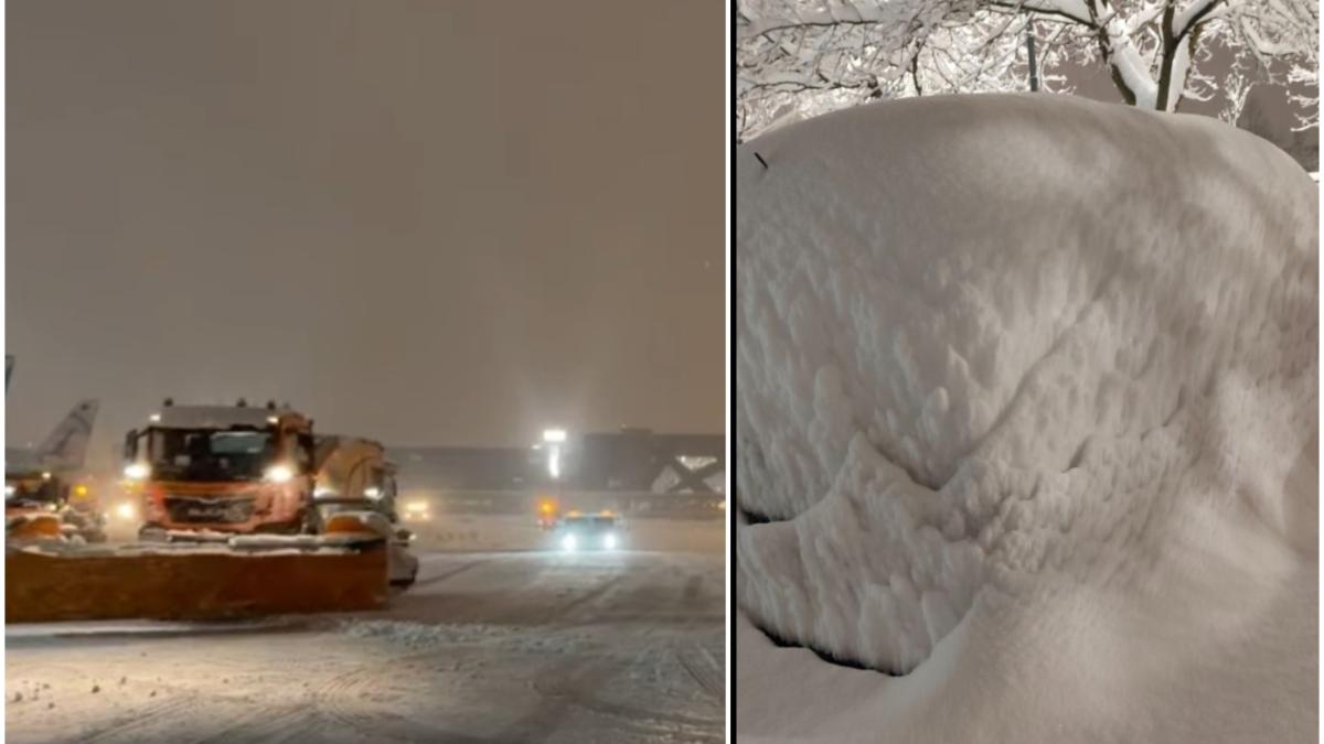 cod rosu ninsoare bucuresti (1)