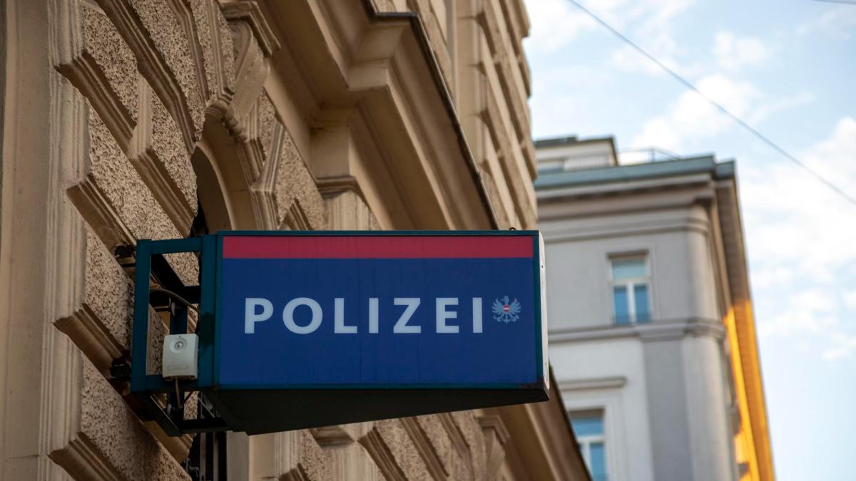 politie austria polizei