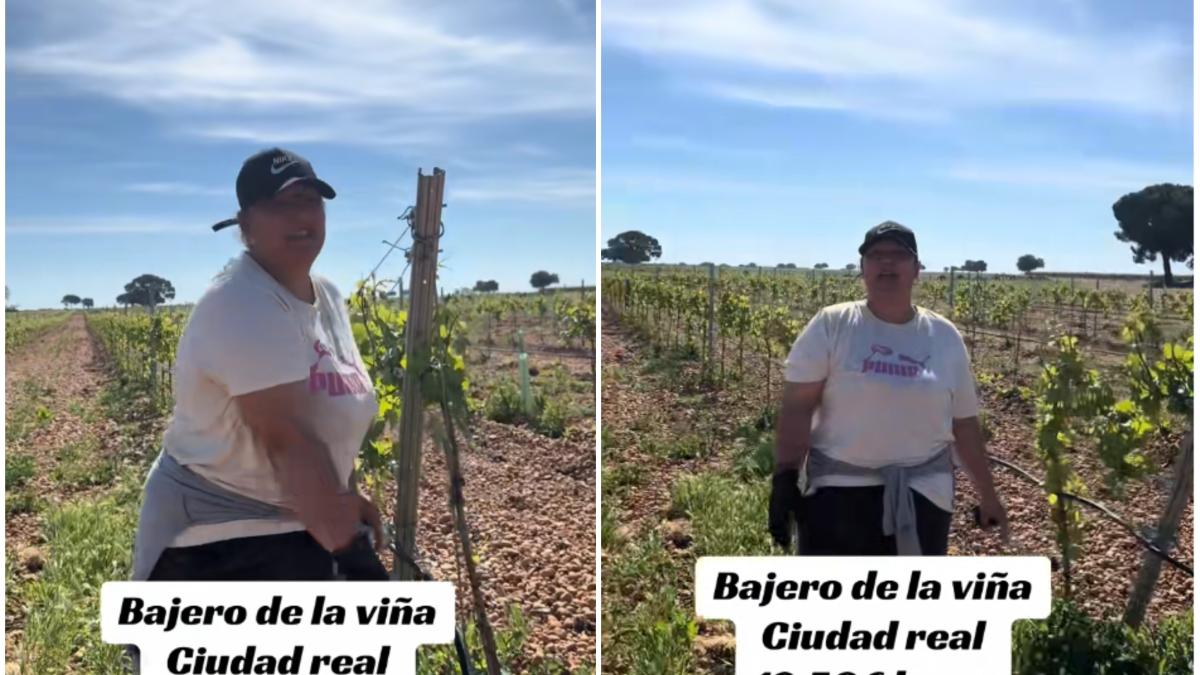 marinela spania anunt agricultura