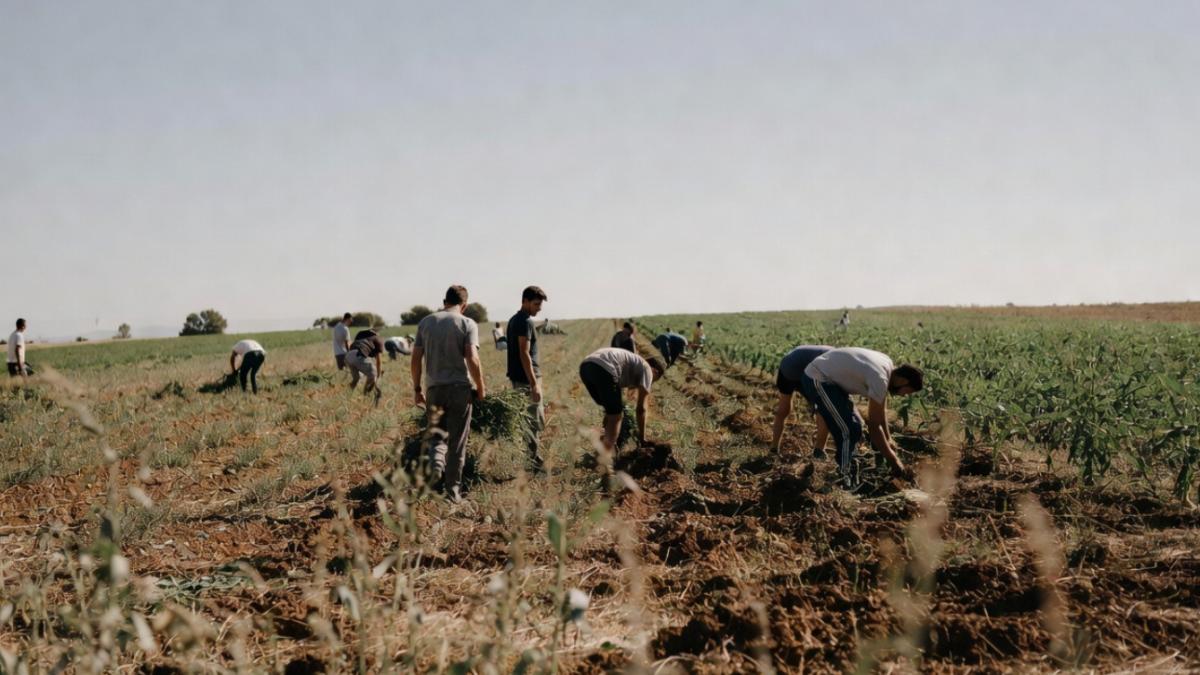 muncitori-ilegali-spania_85705700