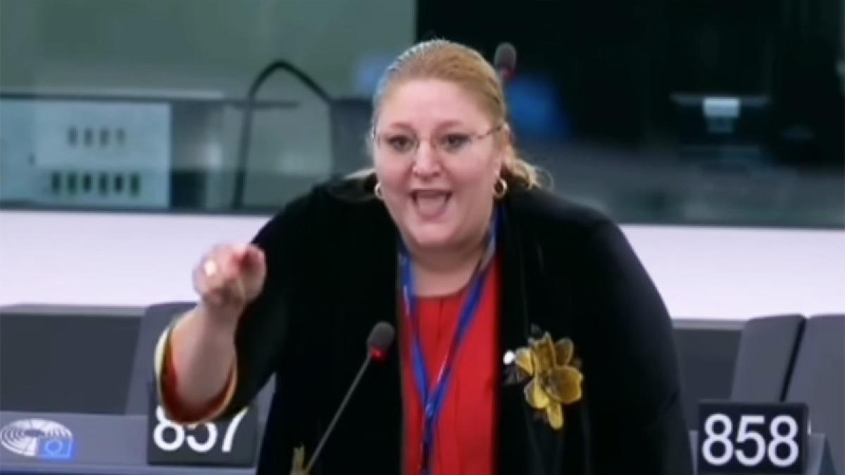 diana sosoaca in parlamentul european