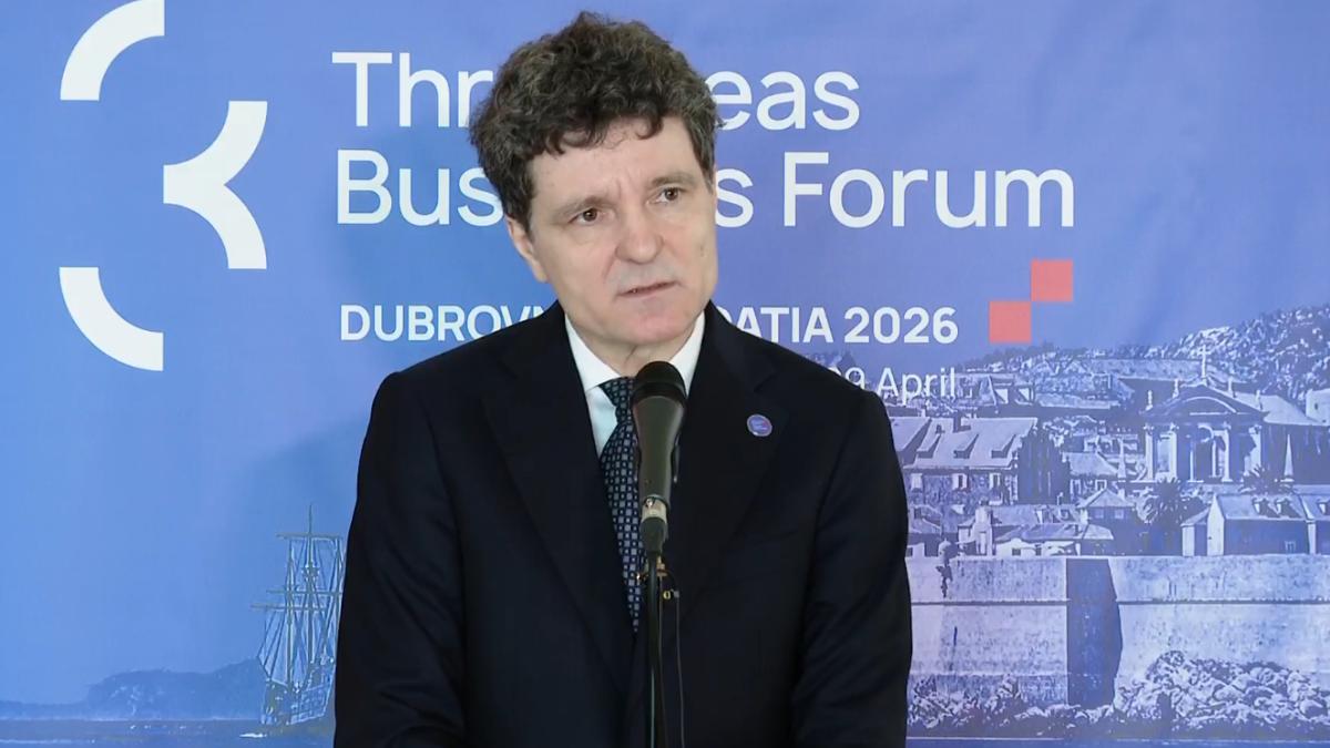 Nicusor Dan - declaratii