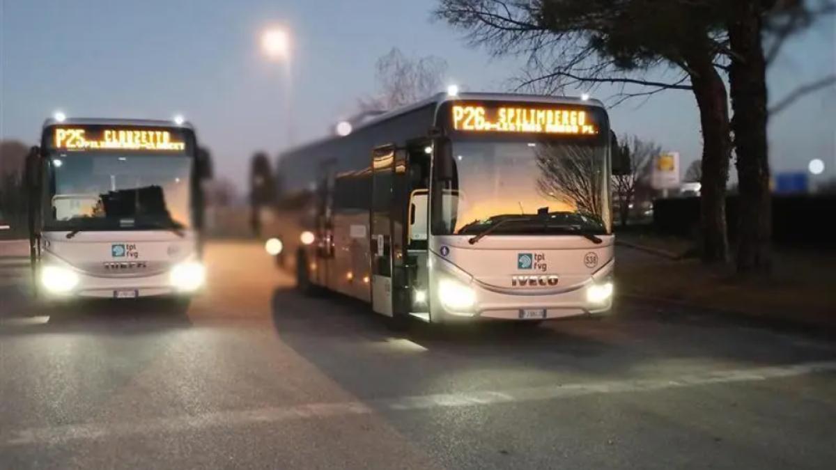 Pordenone transport public romani furt