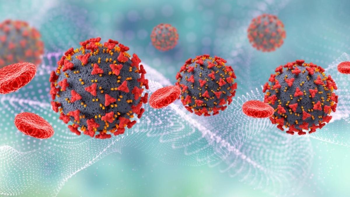un-nou-virus-de-origine-animala-in-china--zeci-de-infectari-1_31110700