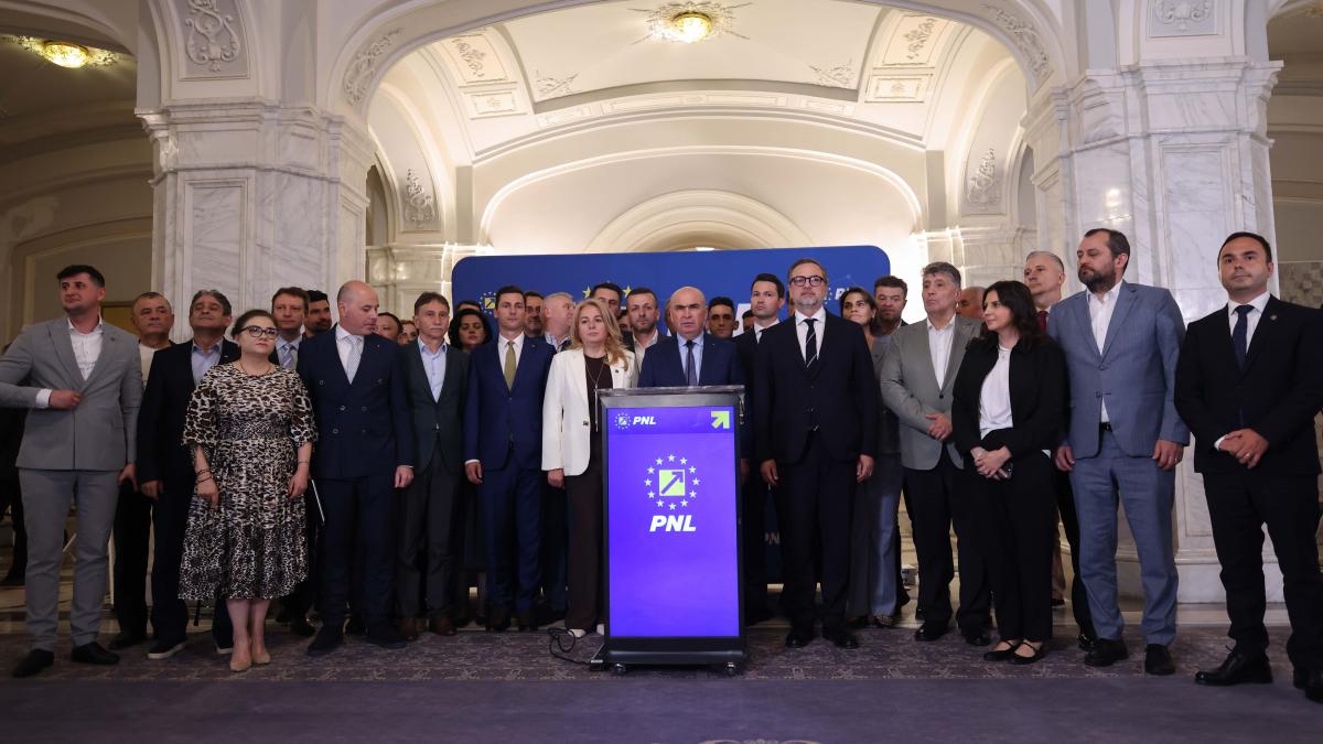 PNL membrii declaratii partidul national liberal