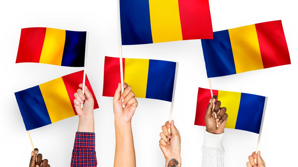 steag romania (2)