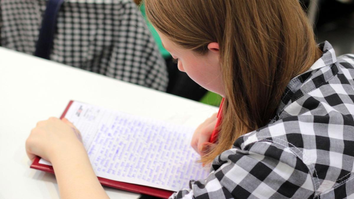 ministerul-educatiei-propune-stimulente-financiare-elevilor-cu-media-10-la-examenele-nationale-din-2024_15351100