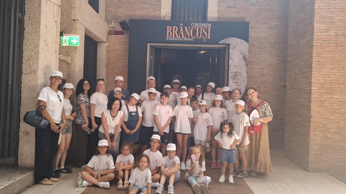 excursie brancusi