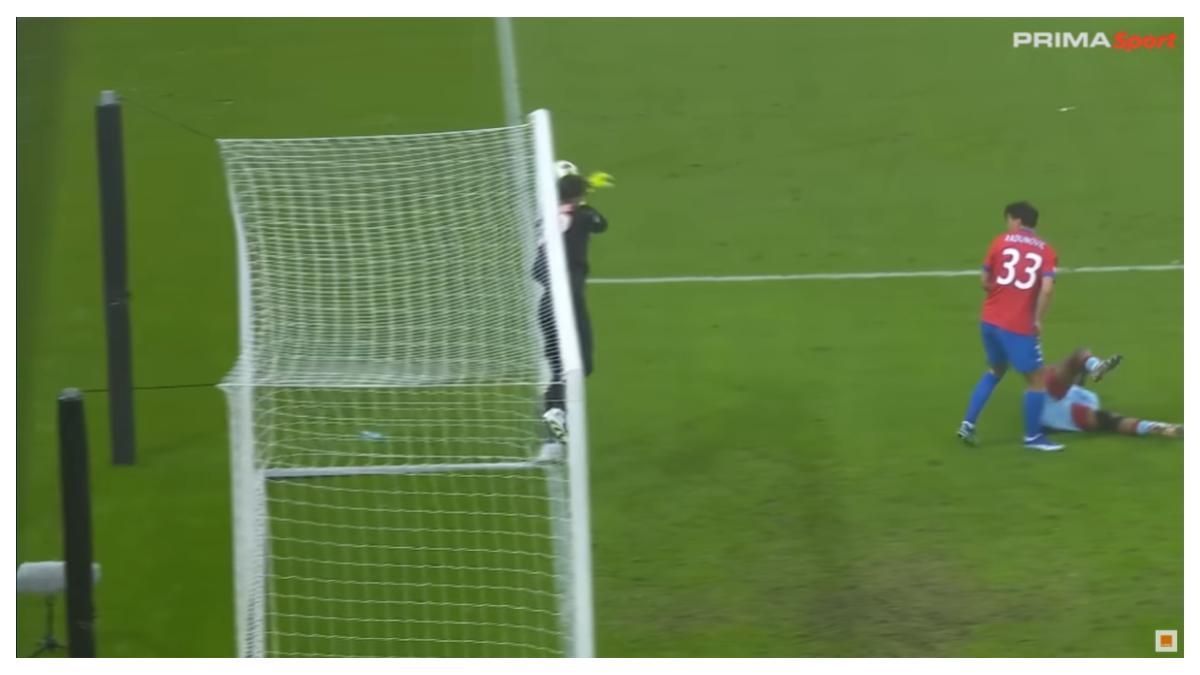 fcsb fotbal
