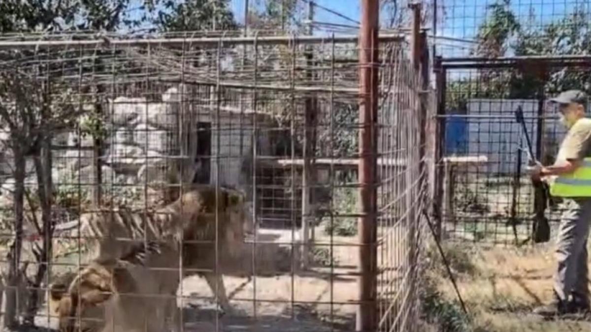 gradina zoologica dambovita