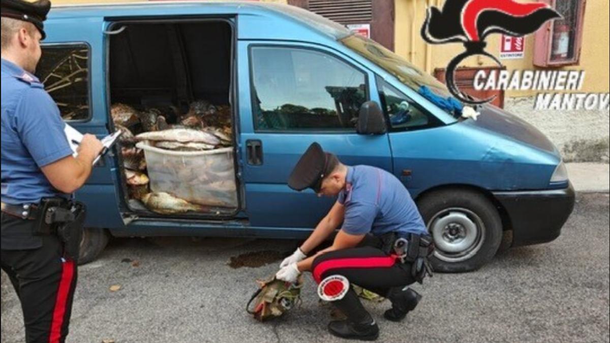 romani pescuit somn italia