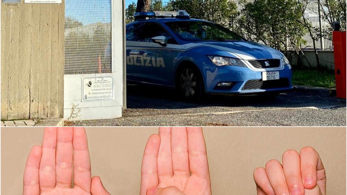 fata 14 ani italia semn international ajutor