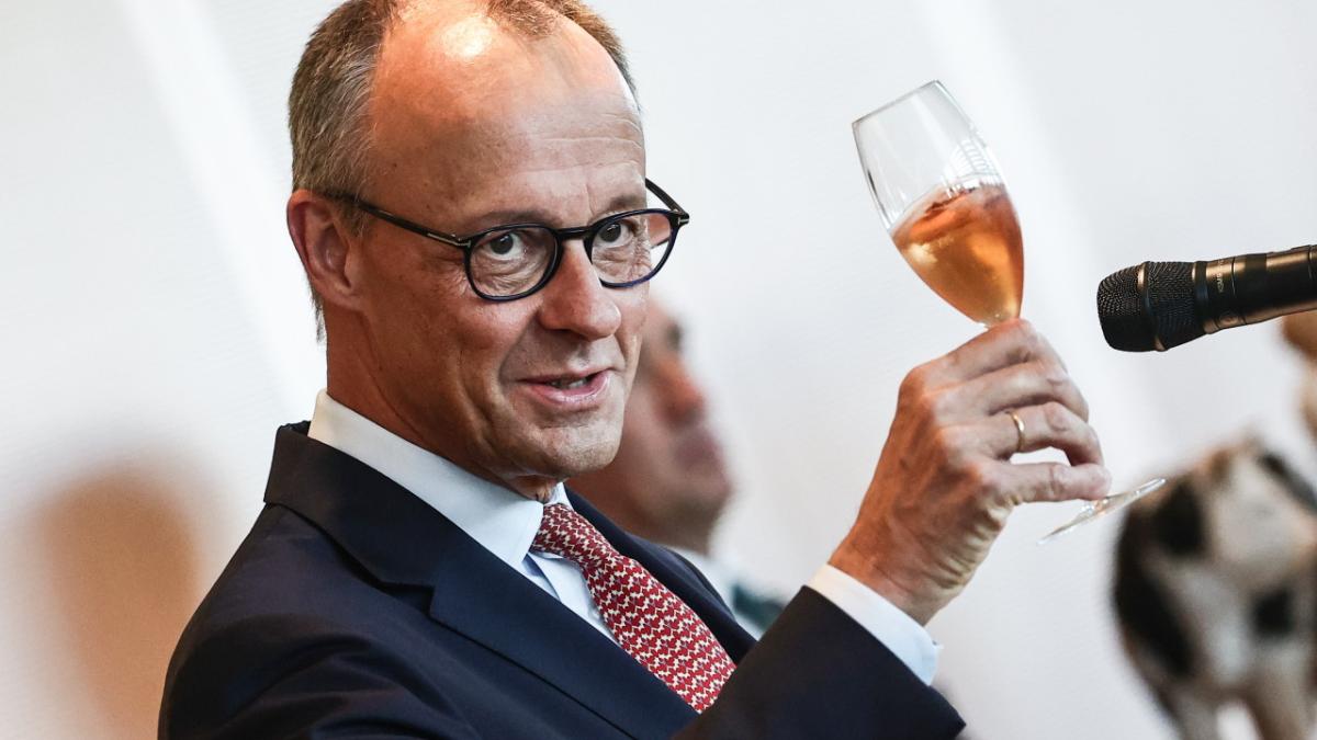 friedrich merz