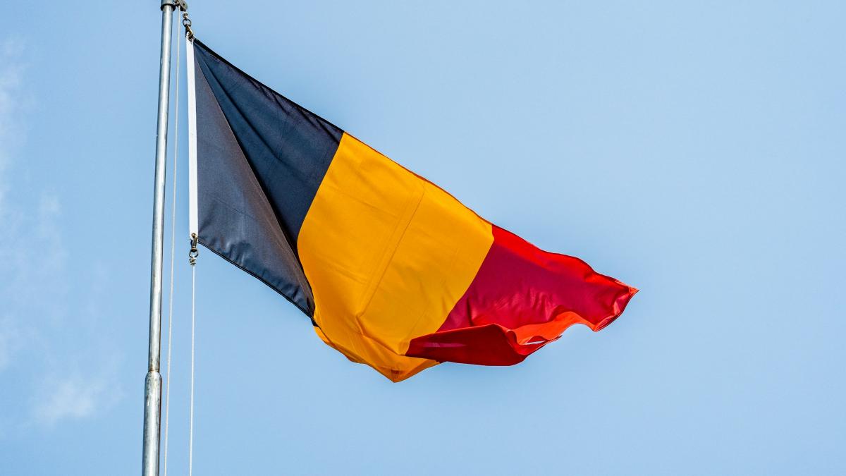 steag romania romani