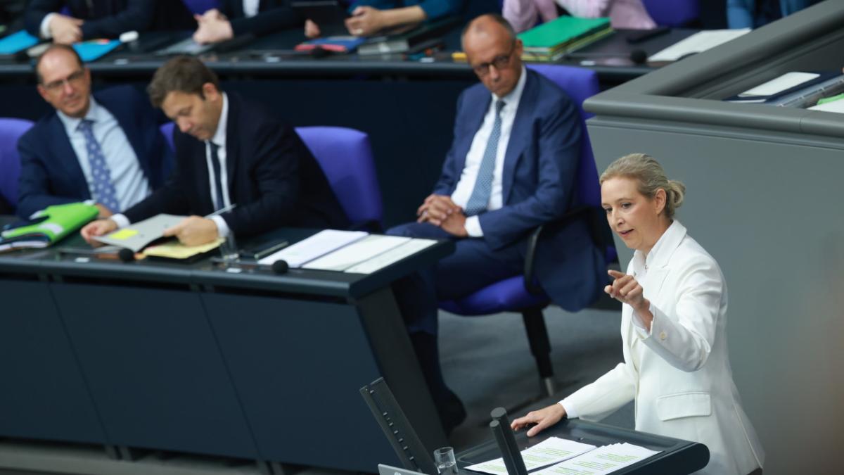 Weidel si Merz
