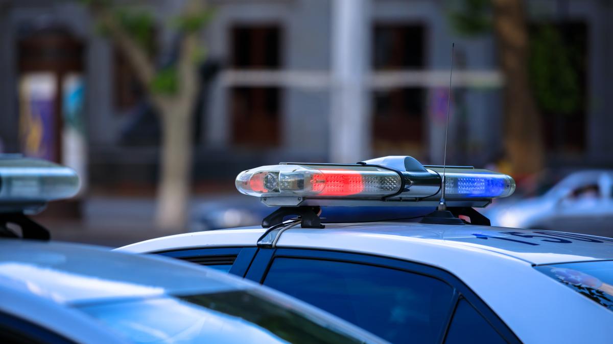 masina de politie (2)