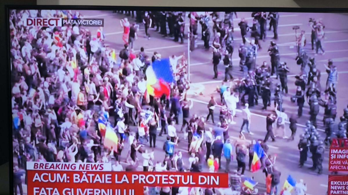 proteste ciobani (1)