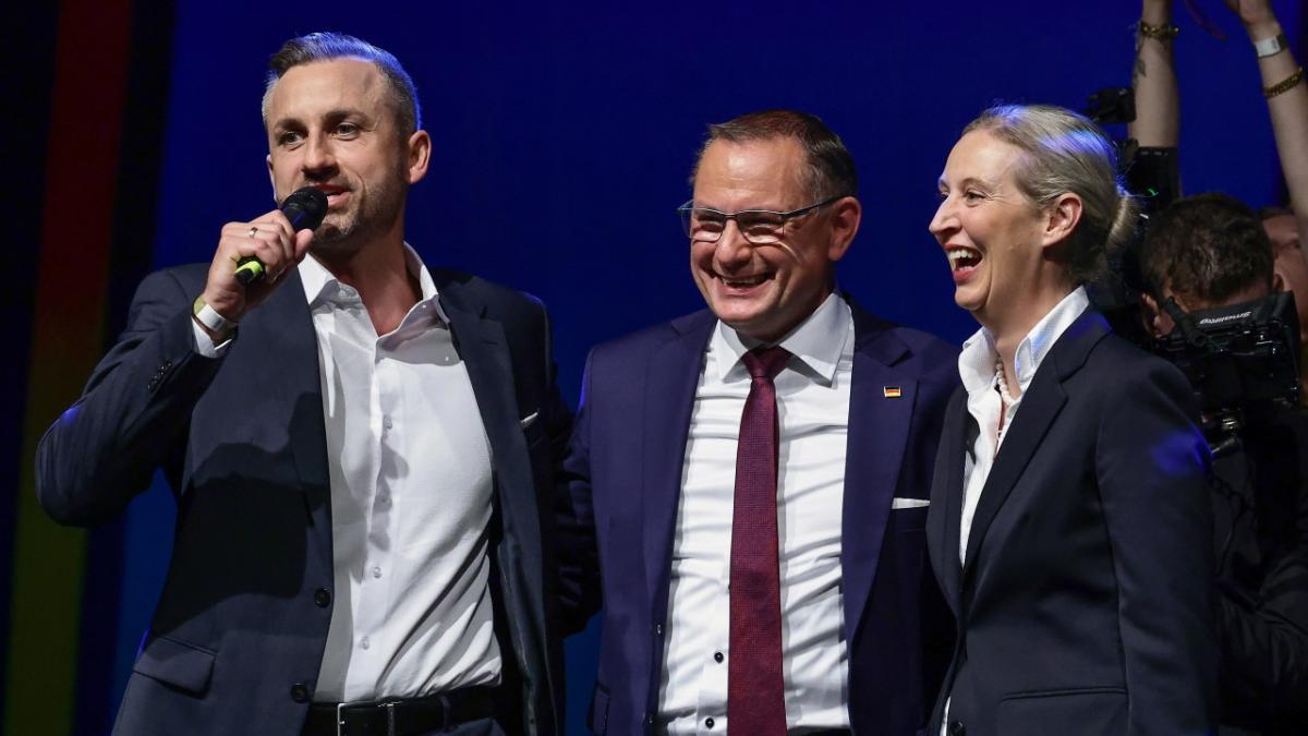 conducerea AFD germania